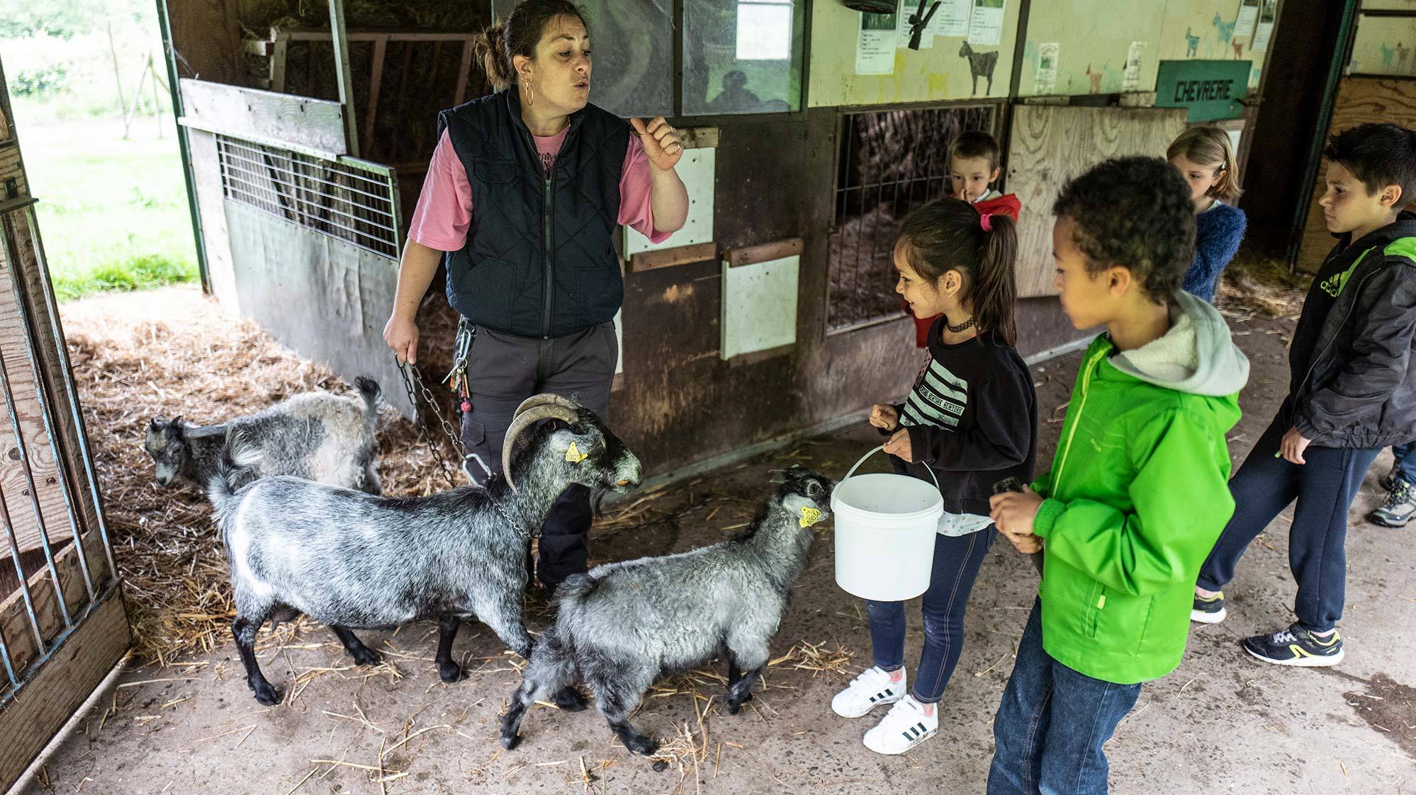 ferme pédagogique