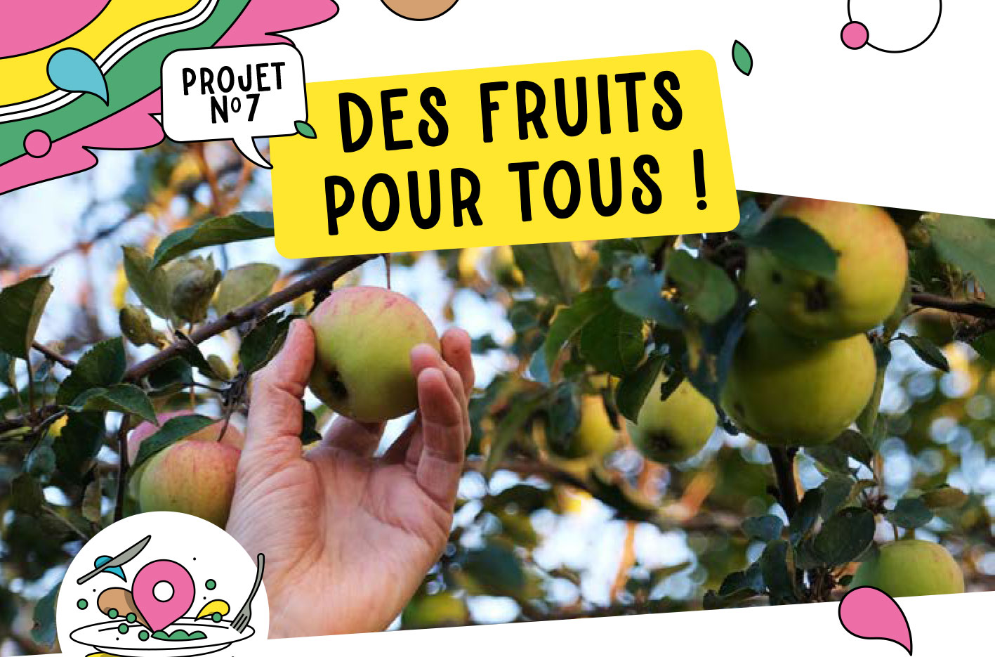 Projet 7 : des fruits pour tous