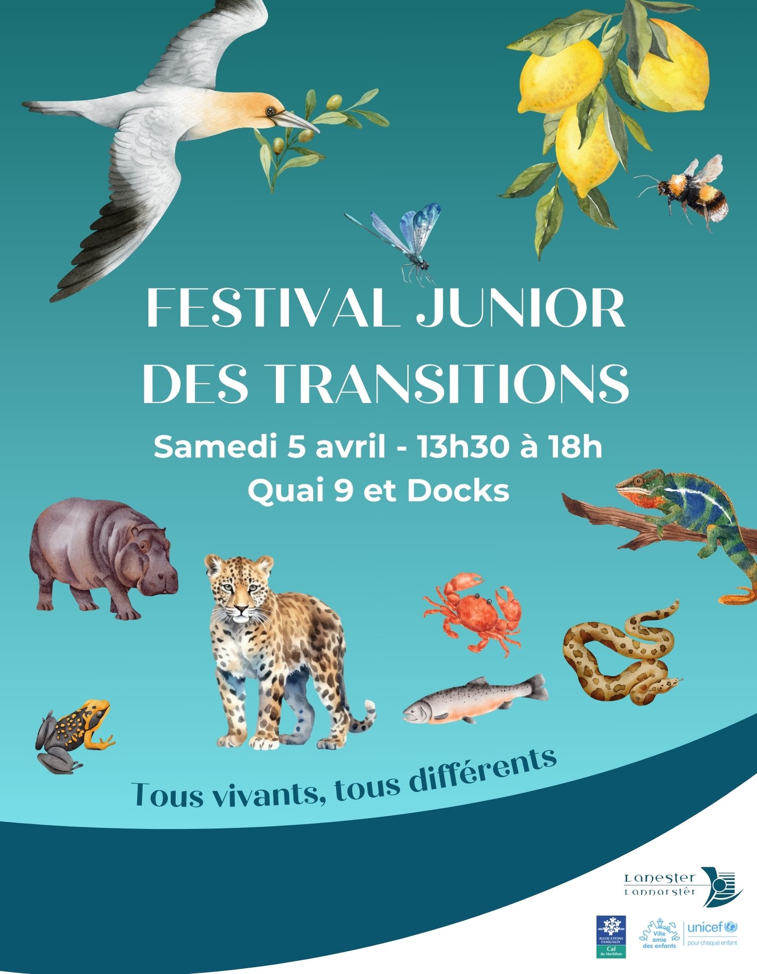 affiche festival junior des transitions